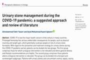 Urinary stone management during the COVID-19 pandemic: a suggested approach and review of literature